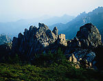 山