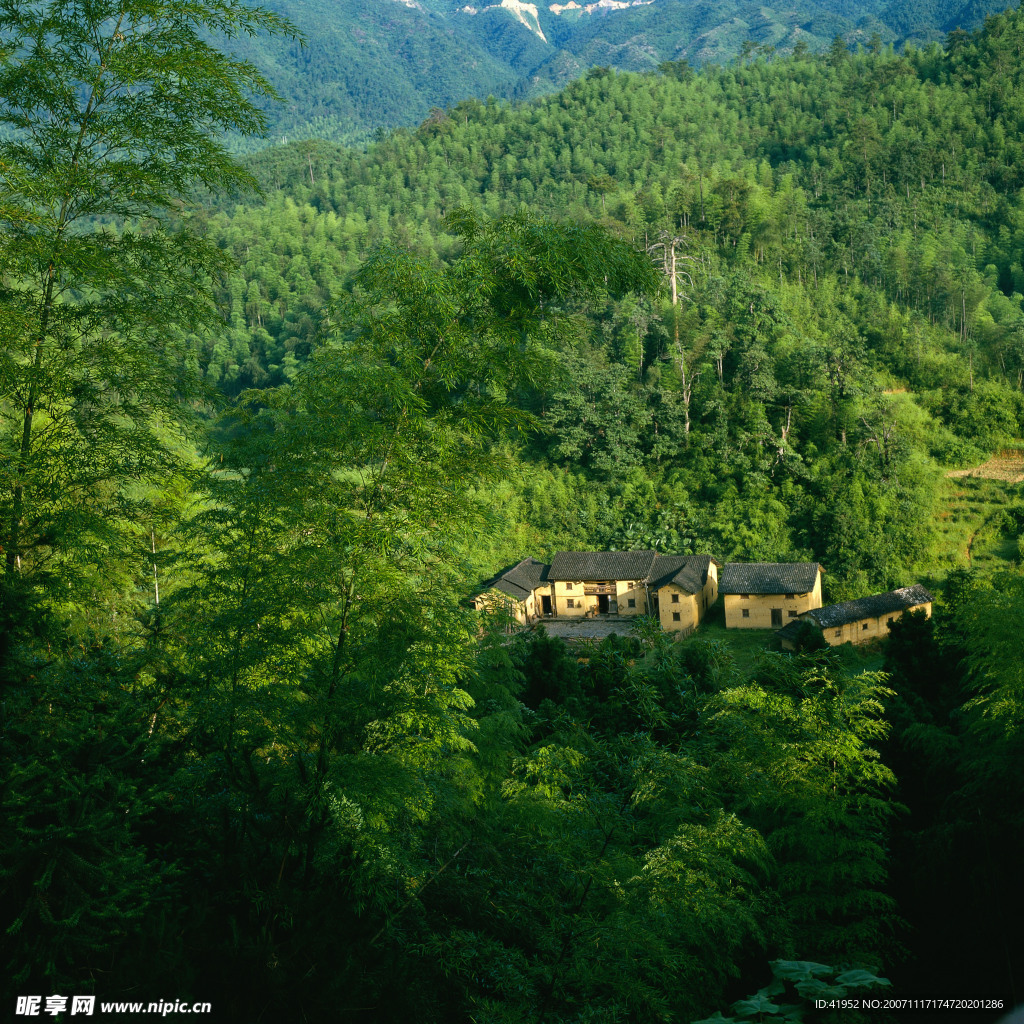 山