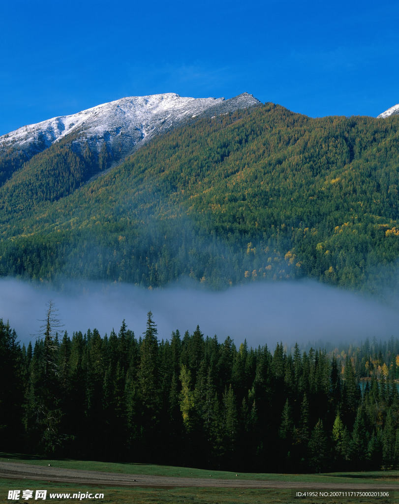 山