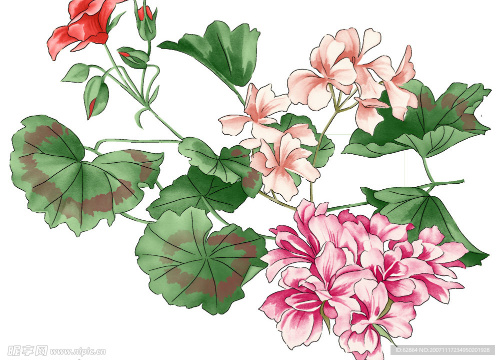 花卉 花 源文件