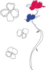 花纹0027