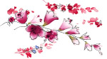 花  素材