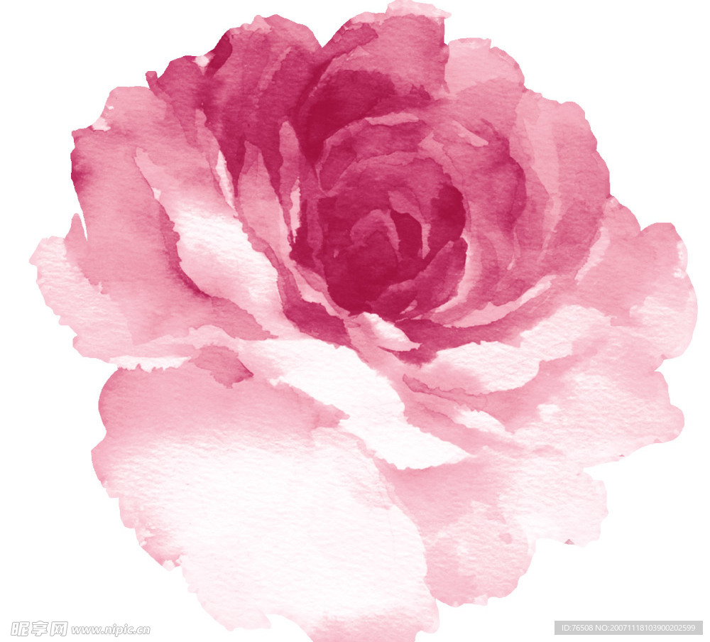 花  素材