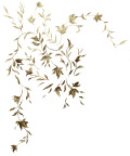 精美时尚的花纹