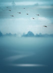 风景