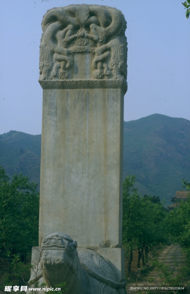 中国龙与兽