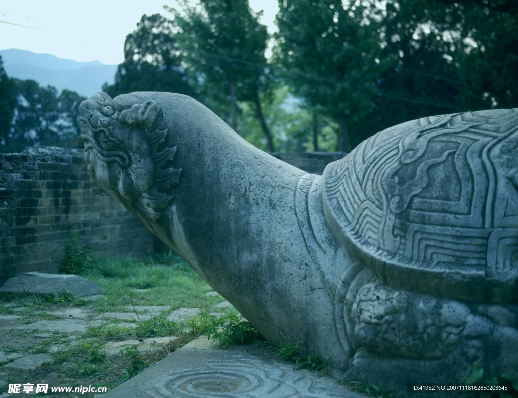 中国龙与兽