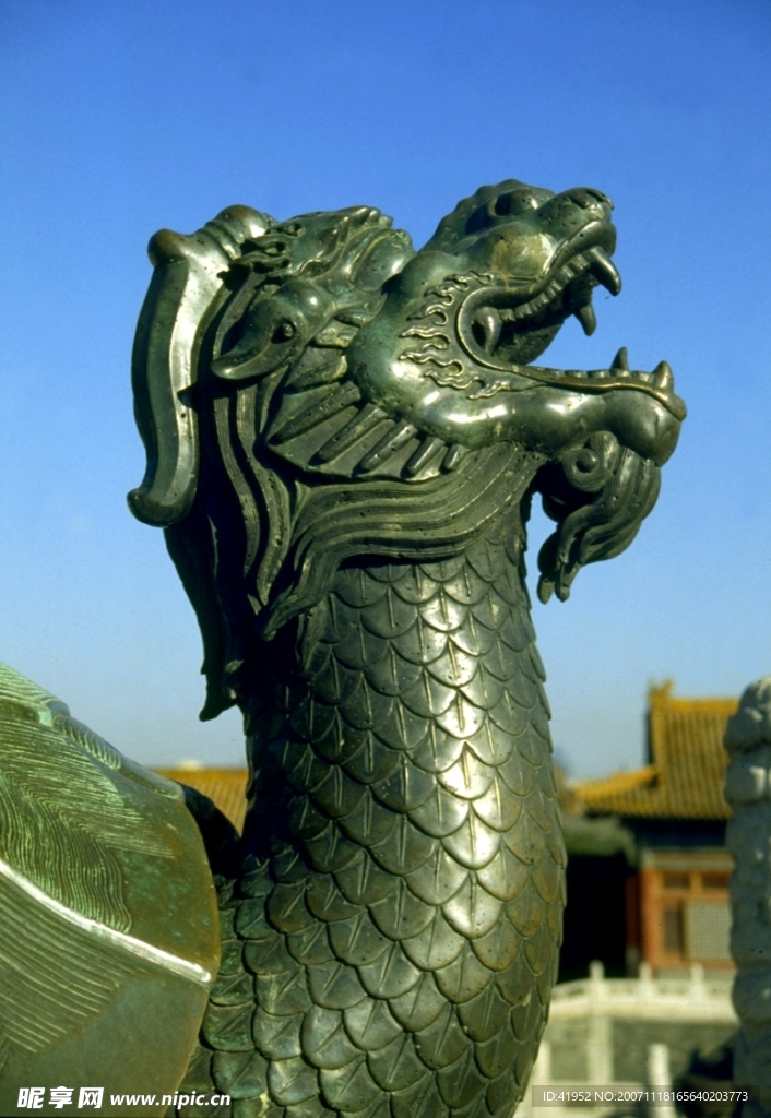 中国龙与兽