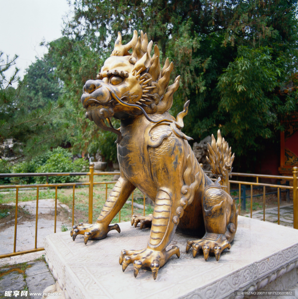 中国龙与兽