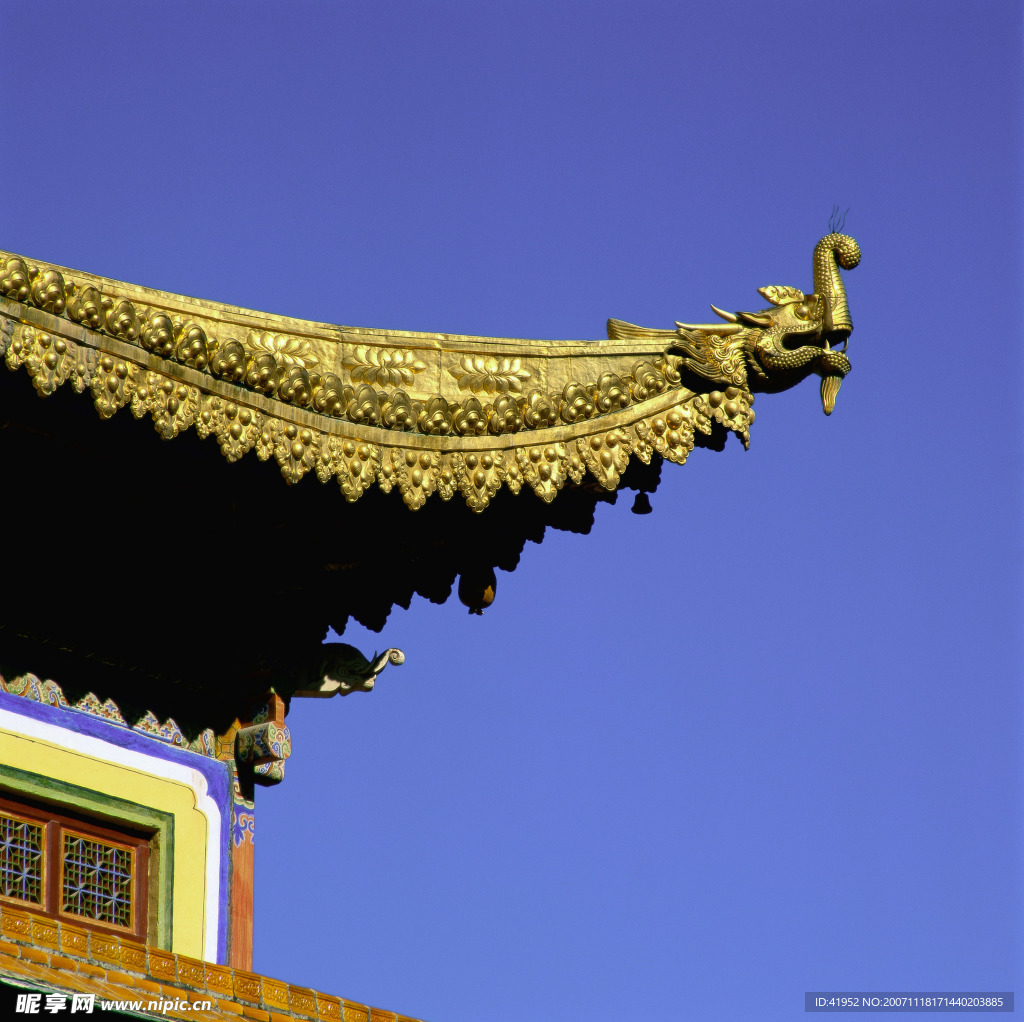 中国龙与兽