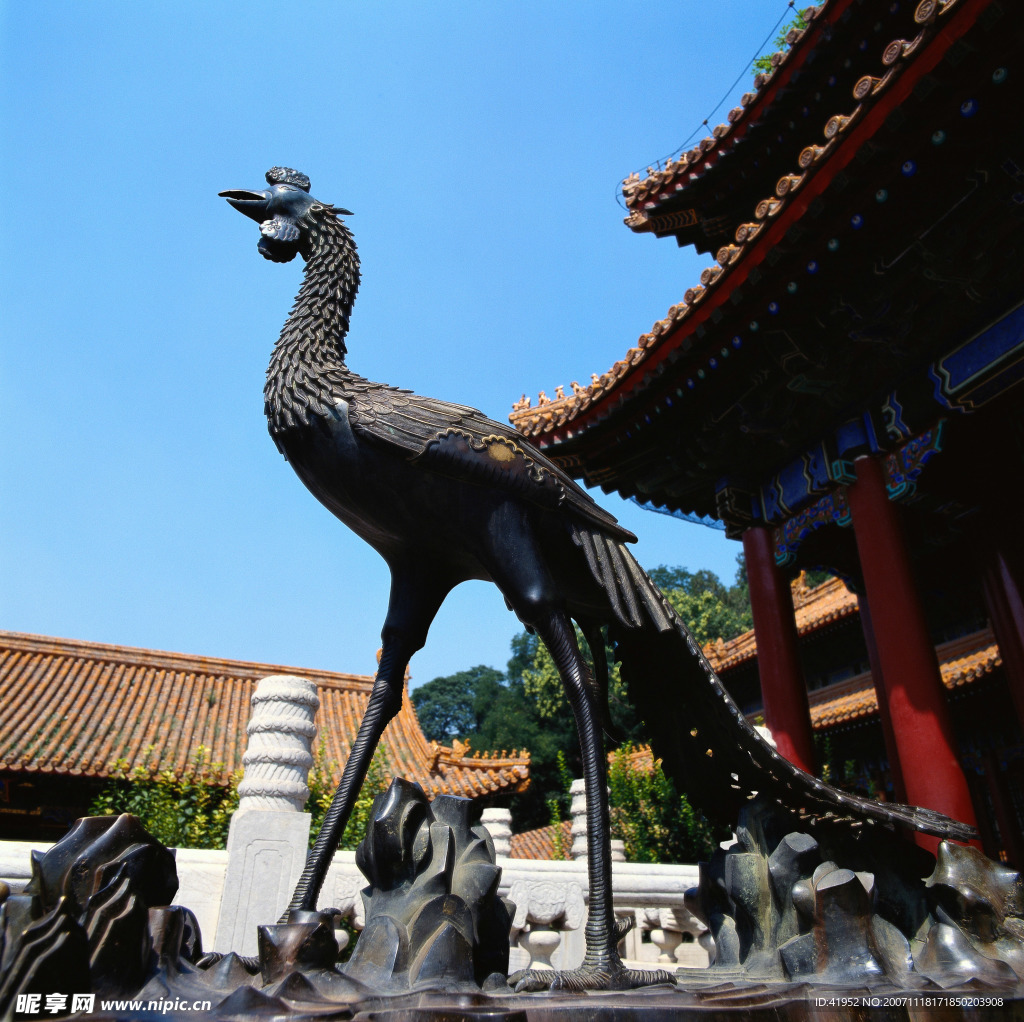 中国龙与兽