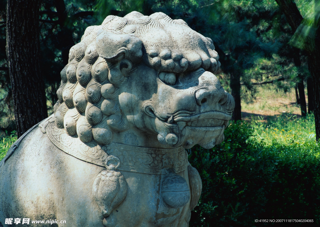中国龙与兽