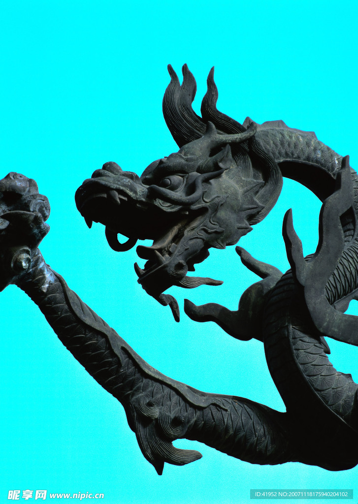 中国龙与兽