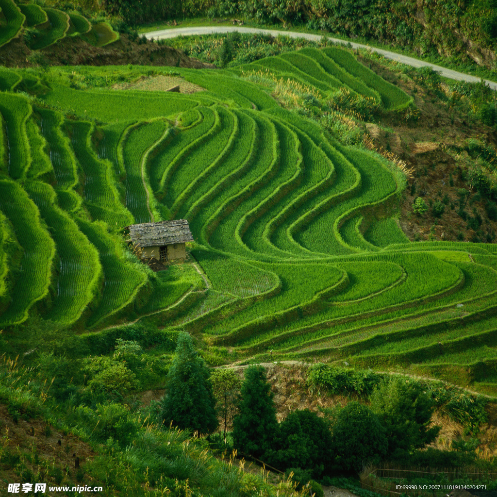 梯田风景