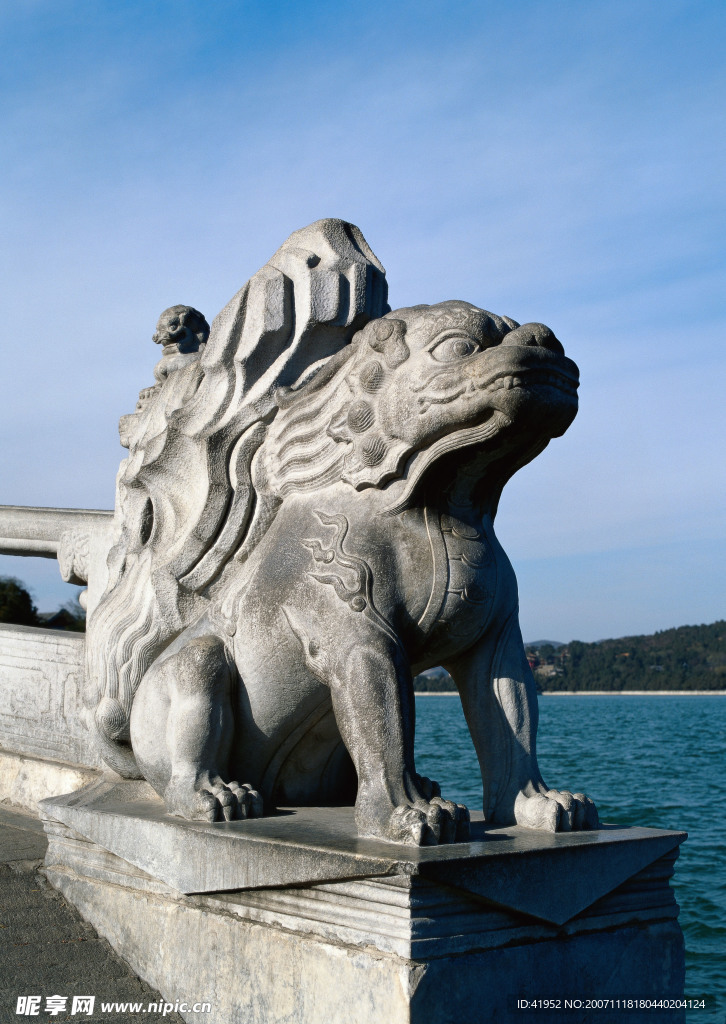 中国龙与兽