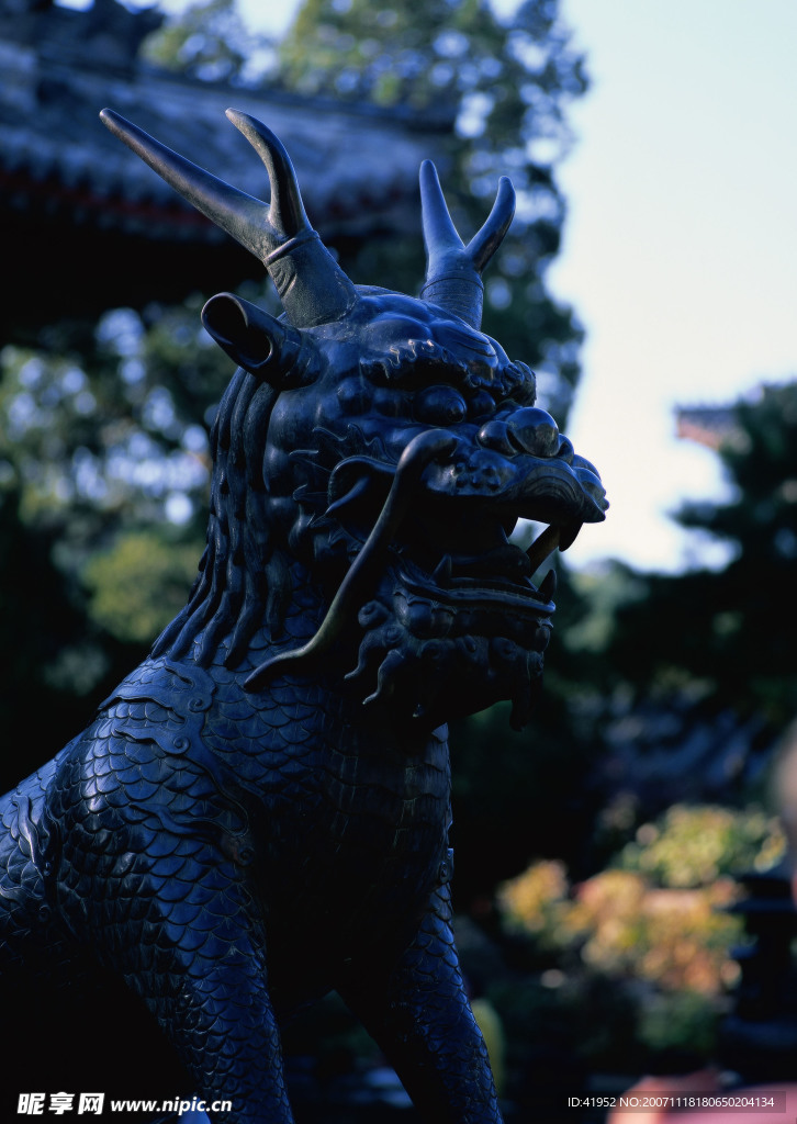 中国龙与兽