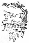古典花纹