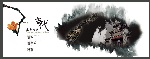 当代东方智慧