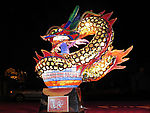 花灯31