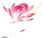 矢量荷花1