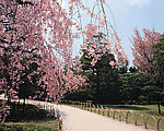城市小景17