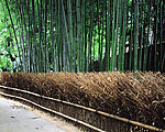 城市小景18
