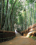 城市小景20