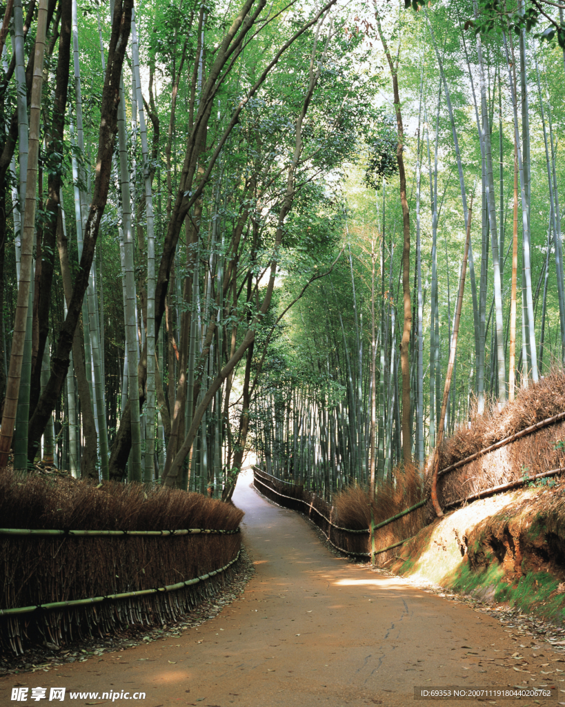 城市小景20