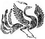 古典花纹
