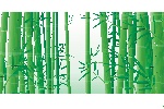 竹