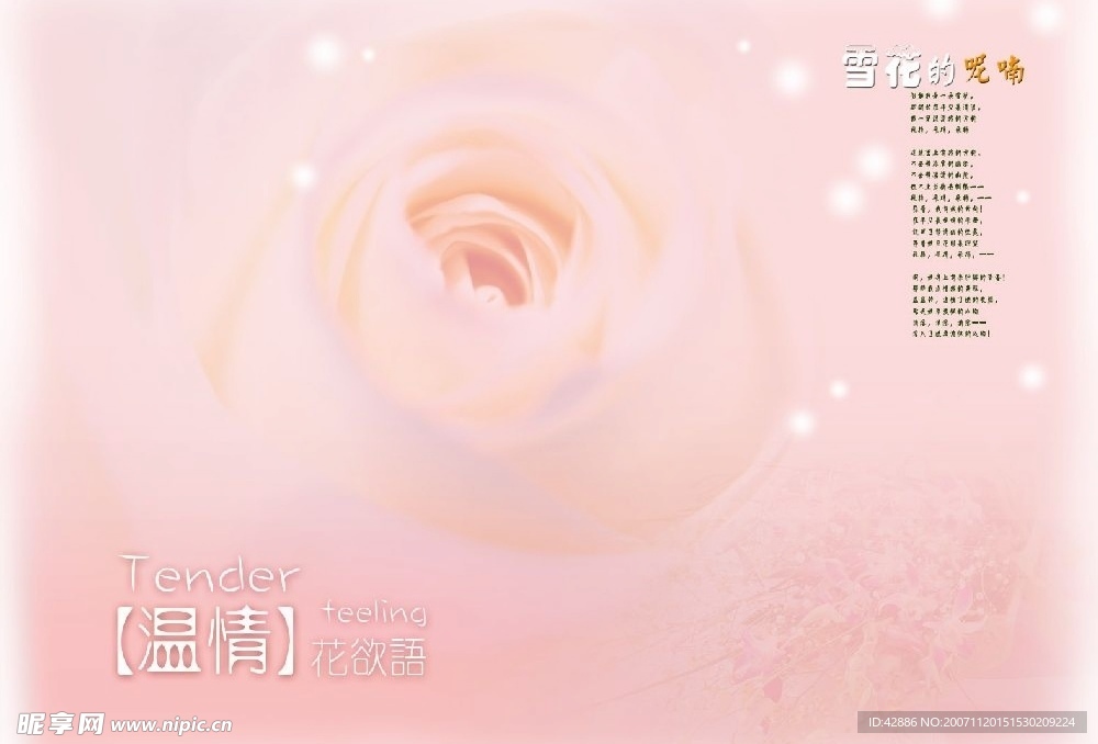 PSD分层素材_粉红花香9