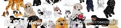 狗狗卡通2