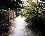 家乡06