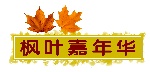 枫叶嘉年华