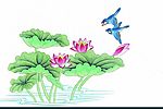 花卉