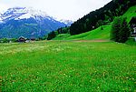 清山景观