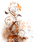 漂亮花纹