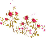 时尚流行花纹