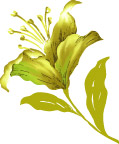 时尚流行花纹