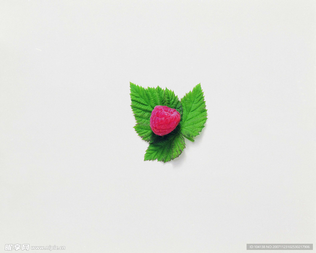 蔬菜与水果