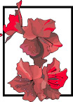 花  素材