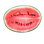 蔬菜与水果