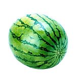 蔬菜与水果