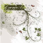 现在华丽花纹