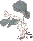 梅兰菊竹