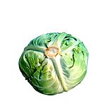 蔬菜与水果