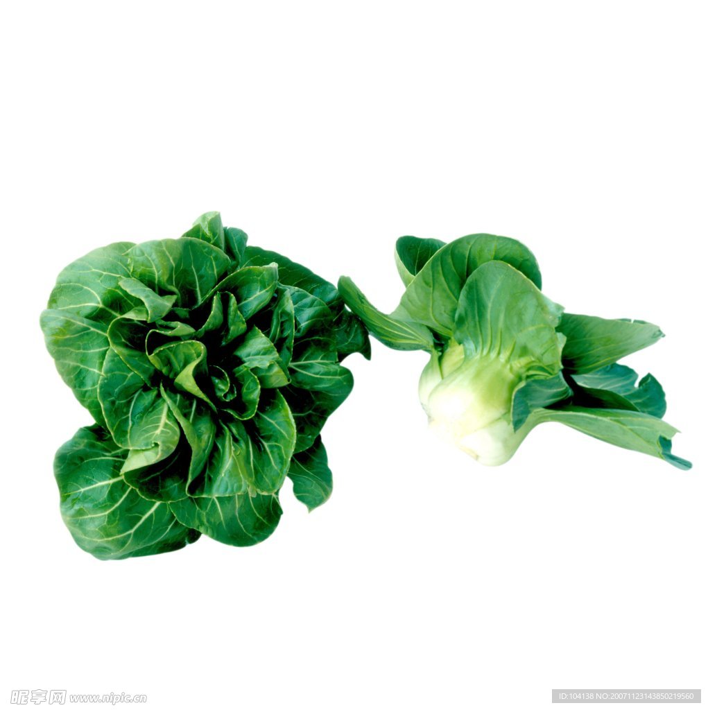 蔬菜与水果