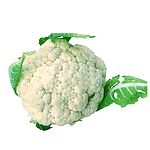 蔬菜与水果