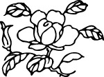 元朝时代花