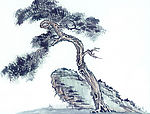 国画系列—古树奇石（63张）